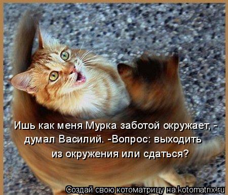 Ишь как меня Мурка заботой окружает, - думал Василий. -Вопрос: выходить из окружения или сдаться?... Котоматрица: Ишь как меня Мурка заботой окружает, - думал Василий. -Вопрос: выходить из окружения или сдаться?