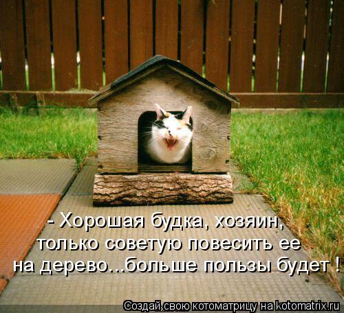Котоматрица: на дерево...больше пользы будет ! только советую повесить ее  - Хорошая будка, хозяин,