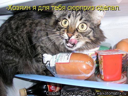 Котоматрица: -Хозяин я для тебя сюрприз сделал.