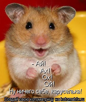 Котоматрица: - Ай! Ах! Ох! Ой! Ну ничего себе, каруселька!