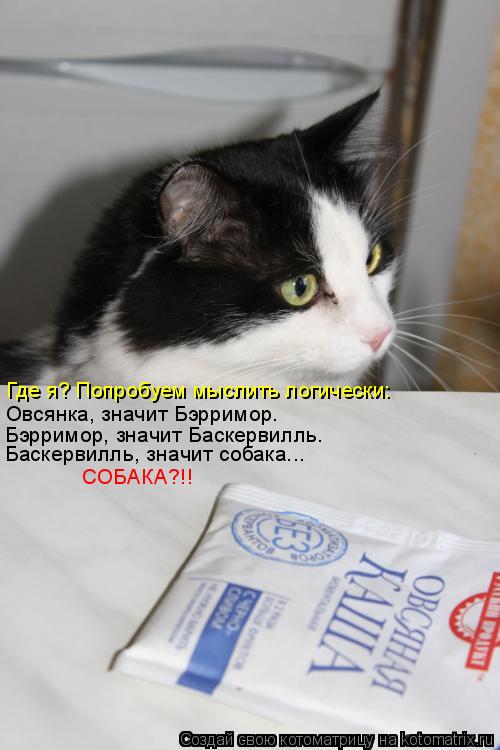 Котоматрица: Овсянка, значит Бэрримор. Бэрримор, значит Баскервилль. Баскервилль, значит собака... Где я? Попробуем мыслить логически: СОБАКА?!!