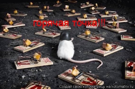 Котоматрица: горячая точка!!!