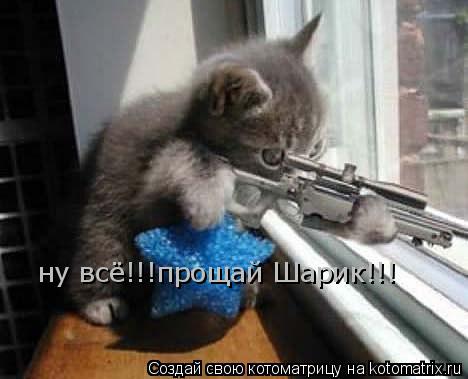 Котоматрица: ну всё!!!прощай Шарик!!!