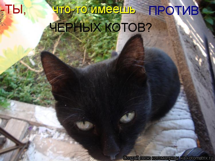 Котоматрица: -ТЫ,  что-то имеешь ПРОТИВ ЧЕРНЫХ КОТОВ?