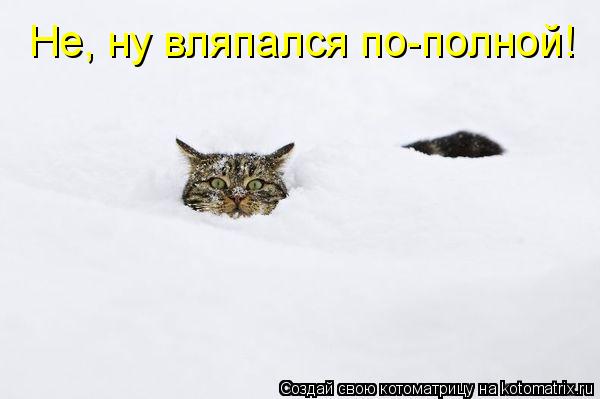 Котоматрица: Не, ну вляпался по-полной!