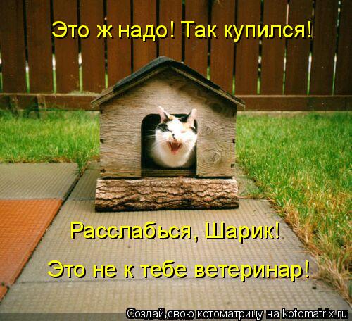 Котоматрица: Это ж надо! Так купился! Расслабься, Шарик!  Это не к тебе ветеринар!