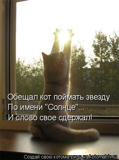 Обещал кот поймать звезду По имени "Солнце"... И слово свое сдержал!... Котоматрица: Обещал кот поймать звезду По имени "Солнце"... И слово свое сдержал!