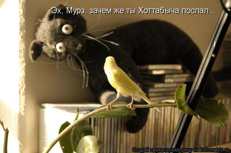 Котоматрица: Эх, Мурз, зачем же ты Хоттабыча послал...