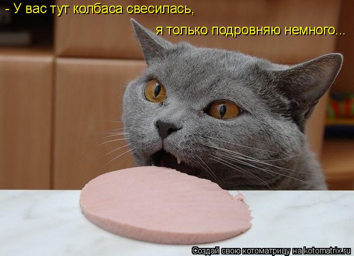 Котоматрица: - У вас тут колбаса свесилась,  я только подровняю немного...
