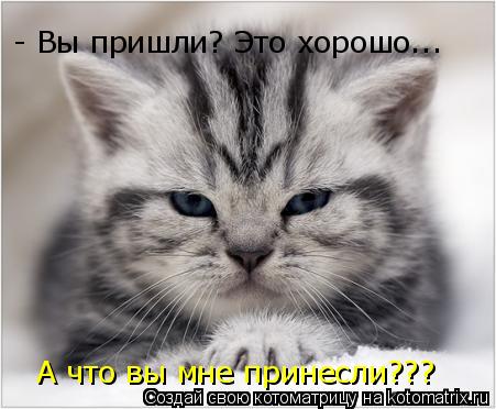Котоматрица: - Вы пришли? Это хорошо... А что вы мне принесли???