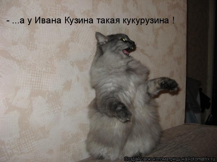 Котоматрица: - ...а у Ивана Кузина такая кукурузина !