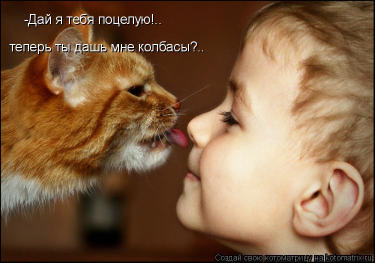 -Дай я тебя поцелую!.. теперь ты дашь мне колбасы?..... Котоматрица: -Дай я тебя поцелую!.. теперь ты дашь мне колбасы?..