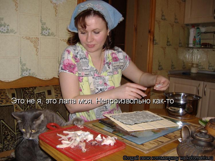 Котоматрица: Это не я, это лапа моя. Непроизвольно как-то