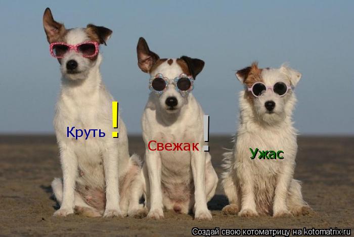 Котоматрица: Круть Свежак Ужас ! !