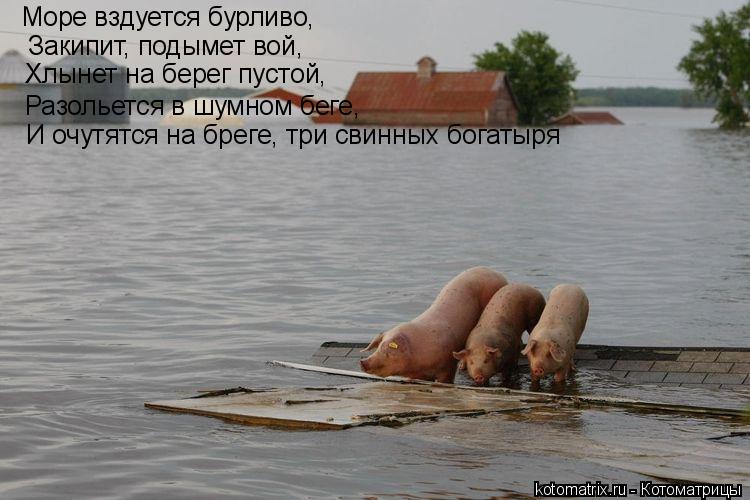 Море вздуется бурливо, Закипит, подымет вой, Хлынет на берег пустой, Разольется в шумном беге, И оч... Котоматрица: Море вздуется бурливо, Закипит, подымет вой, Хлынет на берег пустой, Разольется в шумном беге, И очутятся на бреге, три свинных богатыря
