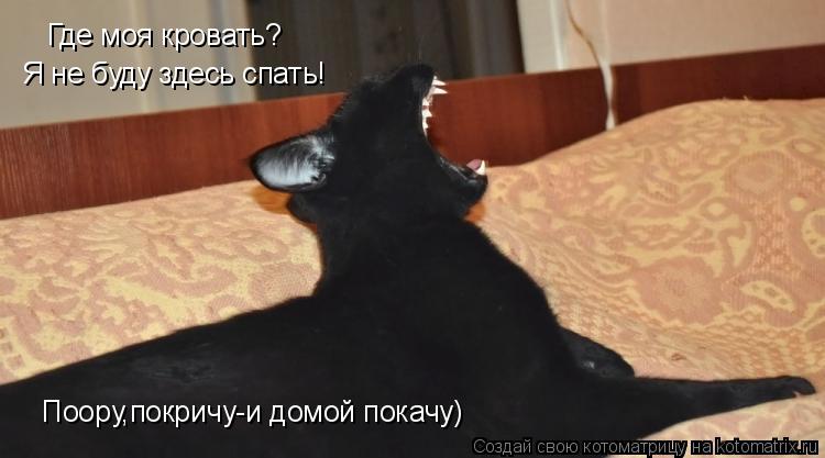 Где моя кровать? Я не буду здесь спать! Поору,покричу-и домой покачу)... Котоматрица: Где моя кровать? Я не буду здесь спать! Поору,покричу-и домой покачу)
