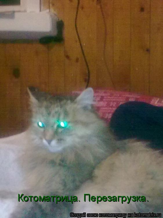 Котоматрица. Перезагрузка.... Котоматрица: Котоматрица. Перезагрузка.