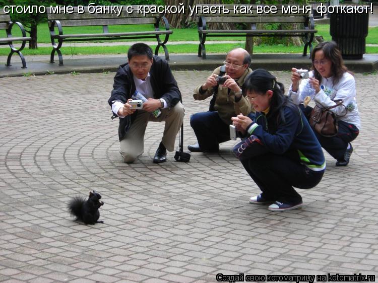 стоило мне в банку с краской упасть как все меня фоткают!... Котоматрица: стоило мне в банку с краской упасть как все меня фоткают!