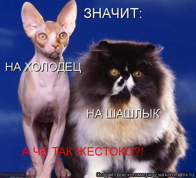 ЗНАЧИТ: НА ХОЛОДЕЦ НА ШАШЛЫК А ЧЕ ТАК ЖЕСТОКО?!... Котоматрица: ЗНАЧИТ: НА ХОЛОДЕЦ НА ШАШЛЫК А ЧЕ ТАК ЖЕСТОКО?!