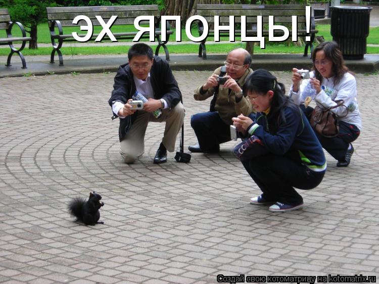 эх японцы!... Котоматрица: эх японцы!