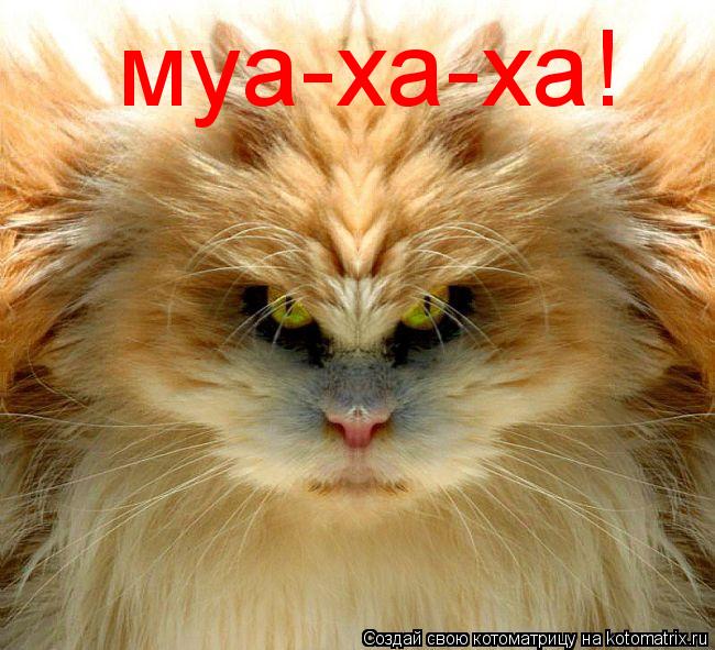 муа-ха-ха!... Котоматрица: муа-ха-ха!