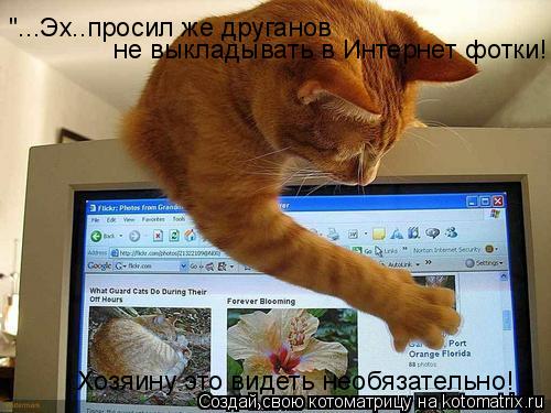 "...Эх..просил же друганов не выкладывать в Интернет фотки! Хозяину это видеть необязательно!... Котоматрица: "...Эх..просил же друганов не выкладывать в Интернет фотки! Хозяину это видеть необязательно!
