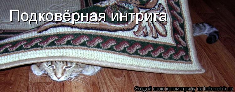 Подковёрная интрига... Котоматрица: Подковёрная интрига
