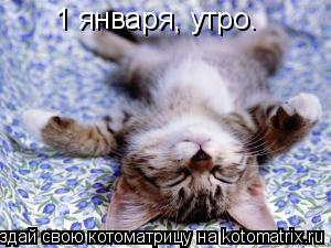 1 января, утро.... Котоматрица: 1 января, утро.