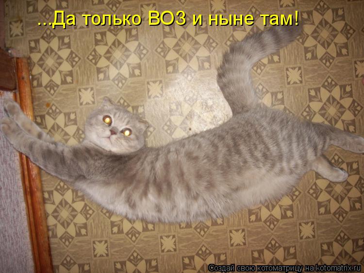 ...Да только ВОЗ и ныне там!... Котоматрица: ...Да только ВОЗ и ныне там!