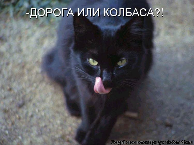 -ДОРОГА ИЛИ КОЛБАСА?!... Котоматрица: -ДОРОГА ИЛИ КОЛБАСА?!