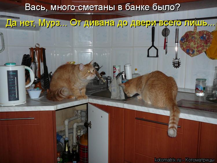 Вась, много сметаны в банке было? Да нет, Мурз... От дивана до двери всего лишь...... Котоматрица: Вась, много сметаны в банке было? Да нет, Мурз... От дивана до двери всего лишь...