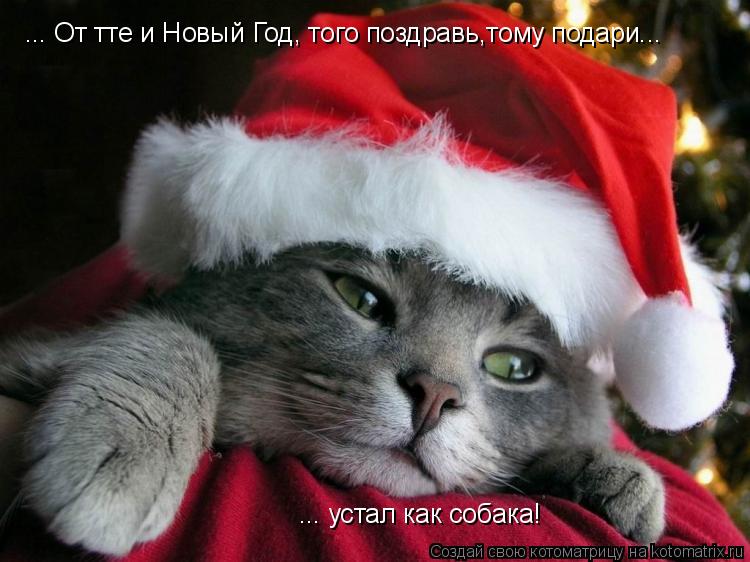 ... От тте и Новый Год, того поздравь,тому подари... ... устал как собака!... Котоматрица: ... От тте и Новый Год, того поздравь,тому подари... ... устал как собака!