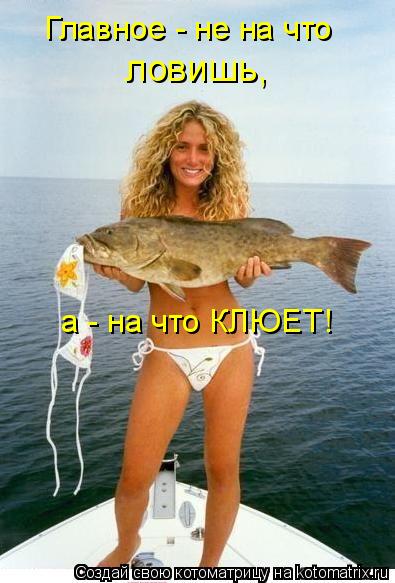 Главное - не на что ловишь, а - на что КЛЮЕТ!... Котоматрица: Главное - не на что ловишь, а - на что КЛЮЕТ!