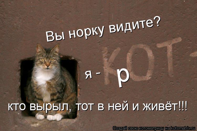 Вы норку видите? я - р кто вырыл, тот в ней и живёт!!!... Котоматрица: Вы норку видите? я - р кто вырыл, тот в ней и живёт!!!