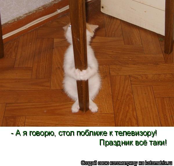 Котоматрица: - А я говорю, стол поближе к телевизору! Праздник всё таки!