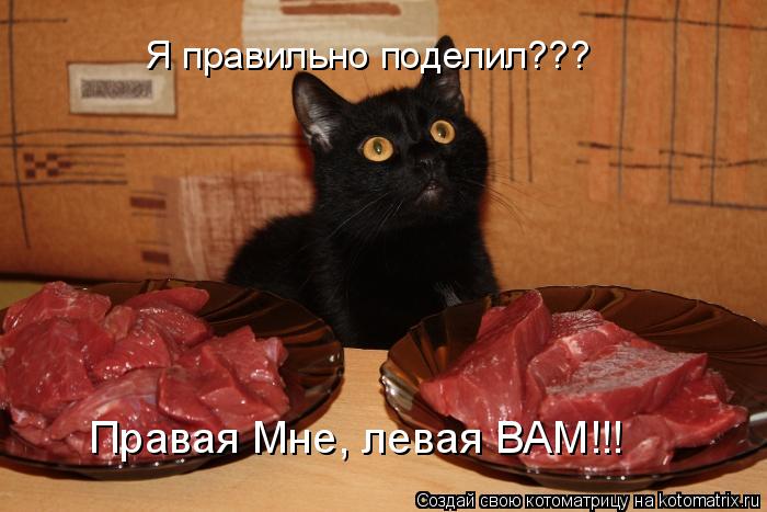 Котоматрица: Я правильно поделил??? Правая Мне, левая ВАМ!!!