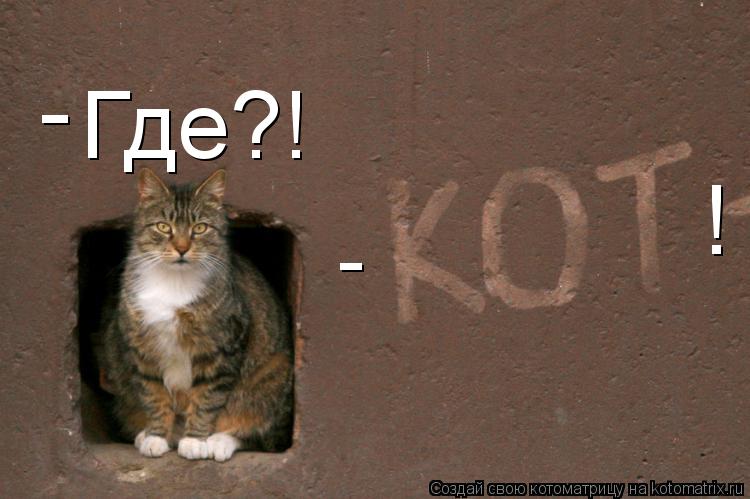 Котоматрица: - ! - Где?!