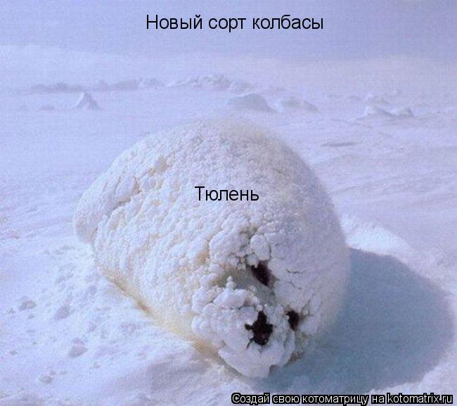 Котоматрица: Новый сорт колбасы Тюлень