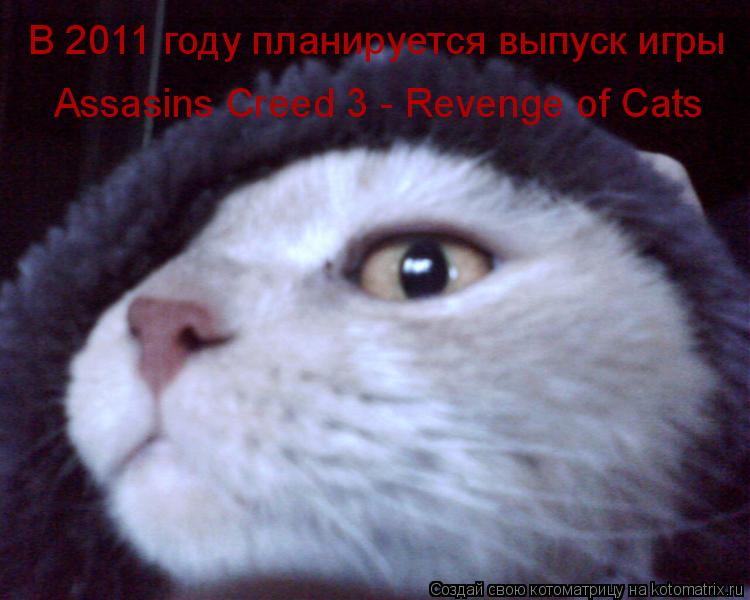 В 2011 году планируется выпуск игры Assasins Creed 3 - Revenge of Cats... Котоматрица: В 2011 году планируется выпуск игры Assasins Creed 3 - Revenge of Cats