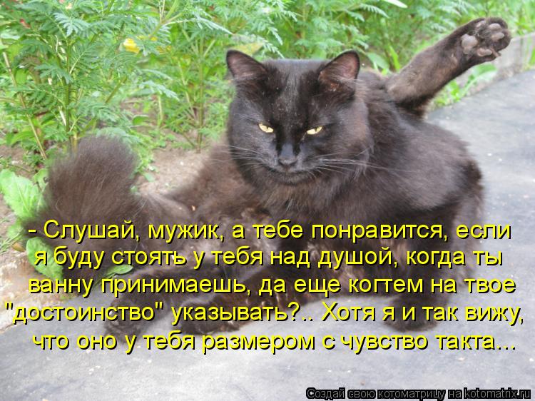 - Слушай, мужик, а тебе понравится, если я буду стоять у тебя над душой, когда ты ванну принимаешь, д... Котоматрица: - Слушай, мужик, а тебе понравится, если я буду стоять у тебя над душой, когда ты ванну принимаешь, да еще когтем на твое "достоинство" указыва