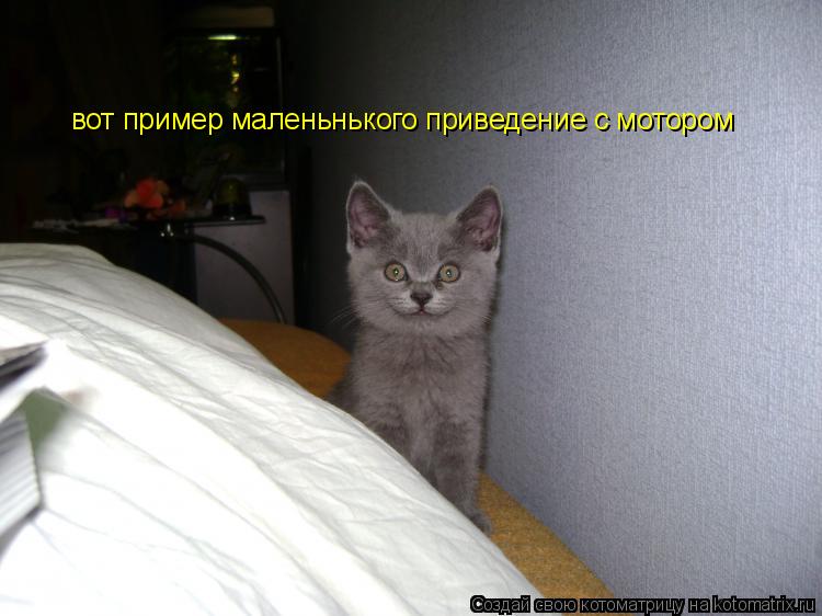 Котоматрица: вот пример маленьнького приведение с мотором