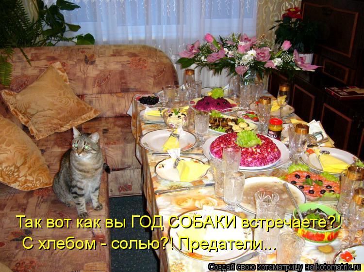 Котоматрица: Так вот как вы ГОД СОБАКИ встречаете?! С хлебом - солью?! Предатели...