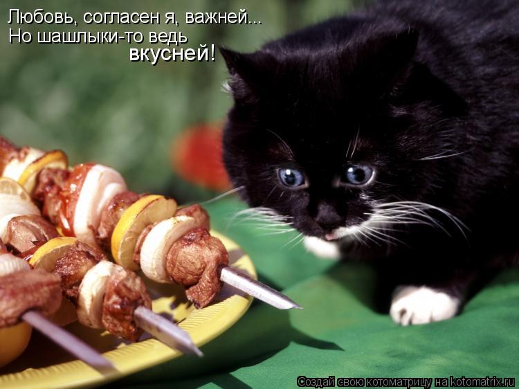 Котоматрица: Любовь, согласен я, важней... Но шашлыки-то ведь  вкусней!