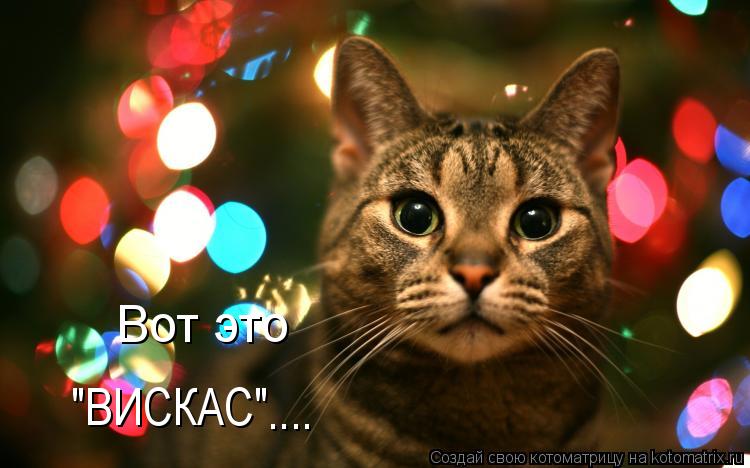 Котоматрица: "ВИСКАС" .... Вот это