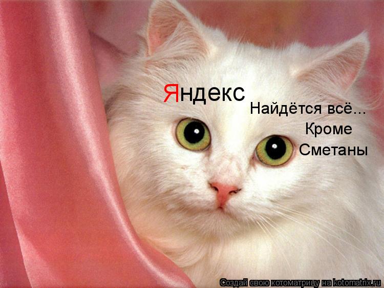 Я ндекс Найдётся всё... Кроме Сметаны... Котоматрица: Я ндекс Найдётся всё... Кроме Сметаны