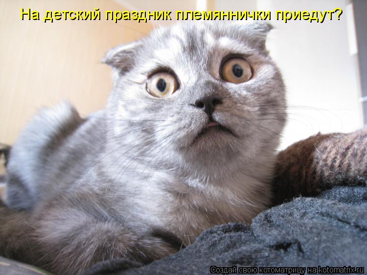 На детский праздник племяннички приедут?... Котоматрица: На детский праздник племяннички приедут?