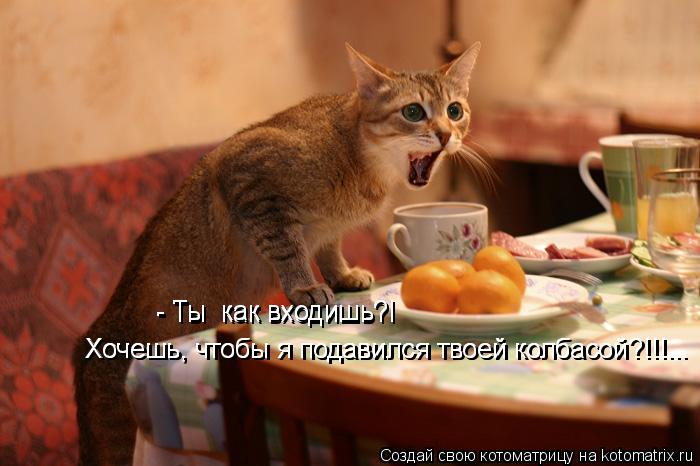 Хочешь, чтобы я подавился твоей колбасой?!!!... Хочешь, чтобы я подавился твоей колбасой?!!!... - Ты ... Котоматрица: Хочешь, чтобы я подавился твоей колбасой?!!!... Хочешь, чтобы я подавился твоей колбасой?!!!... - Ты как входишь?! - Ты как входишь?!