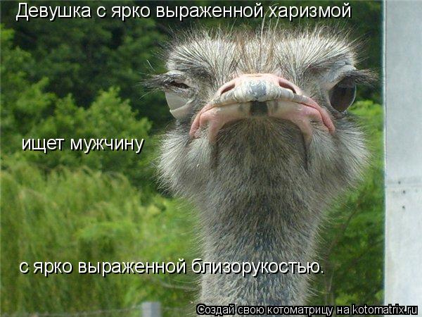 Девушка с ярко выраженной харизмой ищет мужчину с ярко выраженной близорукостью.... Котоматрица: Девушка с ярко выраженной харизмой ищет мужчину с ярко выраженной близорукостью.