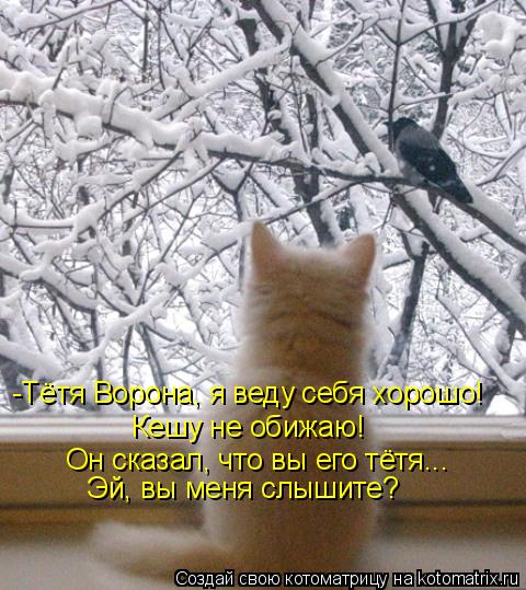 -Тётя Ворона, я веду себя хорошо! Кешу не обижаю! Он сказал, что вы его тётя... Эй, вы меня слышите?... Котоматрица: -Тётя Ворона, я веду себя хорошо! Кешу не обижаю! Он сказал, что вы его тётя... Эй, вы меня слышите?