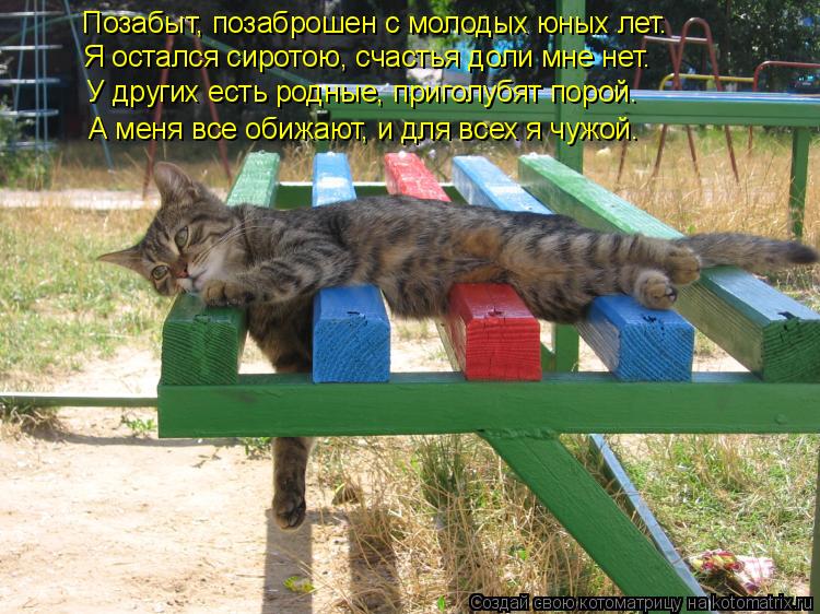 Позабыт, позаброшен с молодых юных лет. Я остался сиротою, счастья доли мне нет. У других есть родные... Котоматрица: Позабыт, позаброшен с молодых юных лет. Я остался сиротою, счастья доли мне нет. У других есть родные, приголубят порой. А меня все обижают, и